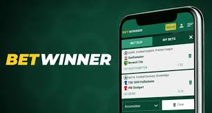 BetWinner Online Casino Your Gateway to Thrilling Gambling