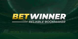 Discover BetWinner Your Ultimate Online Gambling Platform